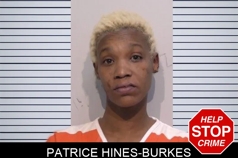 Patrice Hines-Burkes Mugshots