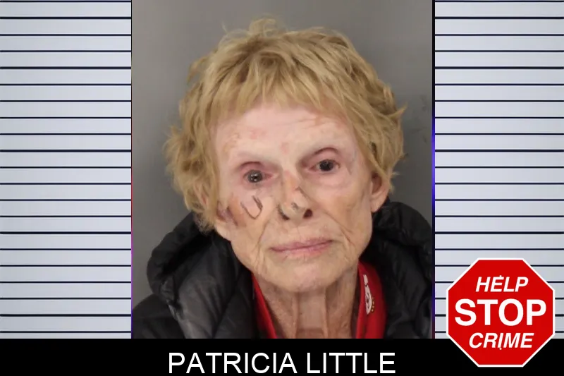 Patricia Little mugshot