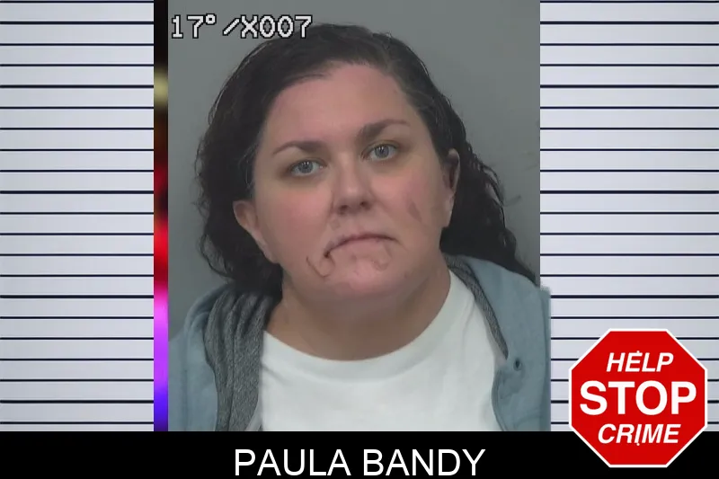 Paula Bandy mugshot – Gwinnett County , Georgia Paula Bandy mugshot