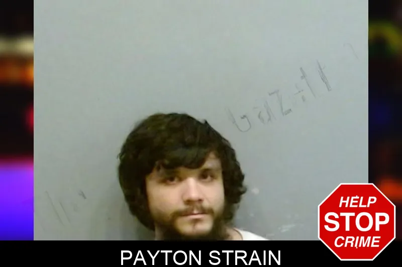 Payton Strain mugshot – Fulton County , Georgia Payton Strain mugshot