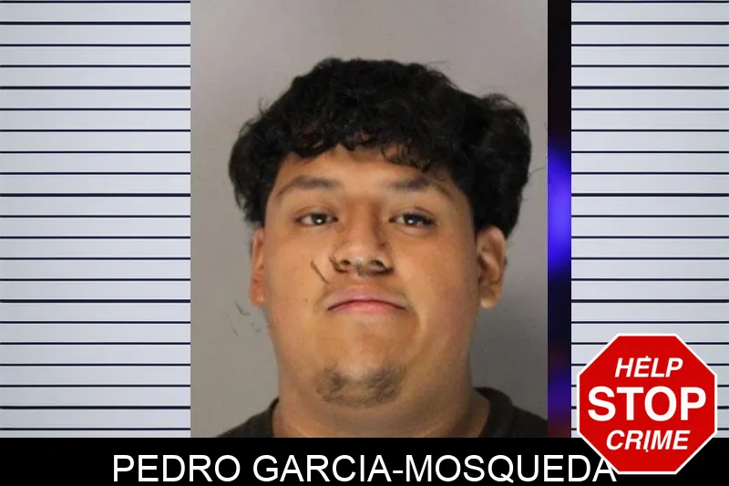 Pedro Garcia-Mosqueda Mugshots
