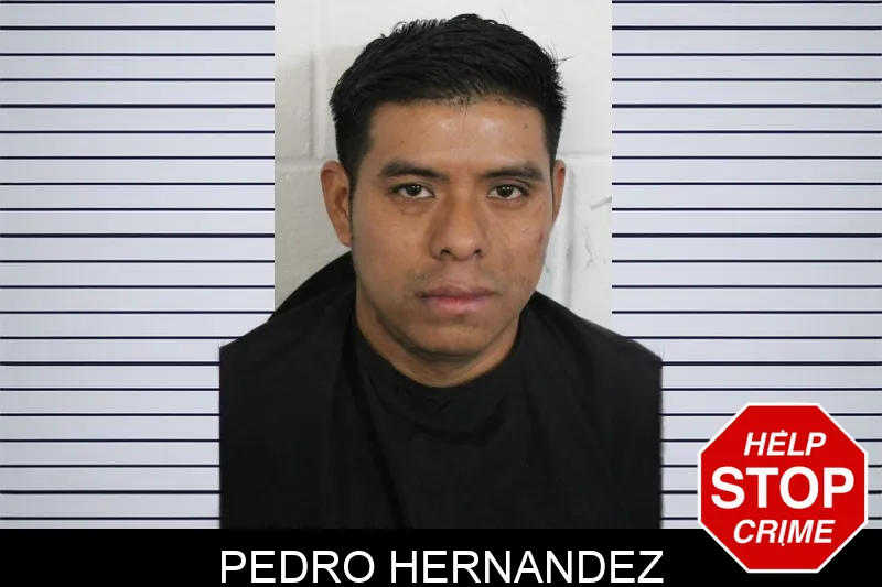 Pedro Hernandez Mugshots