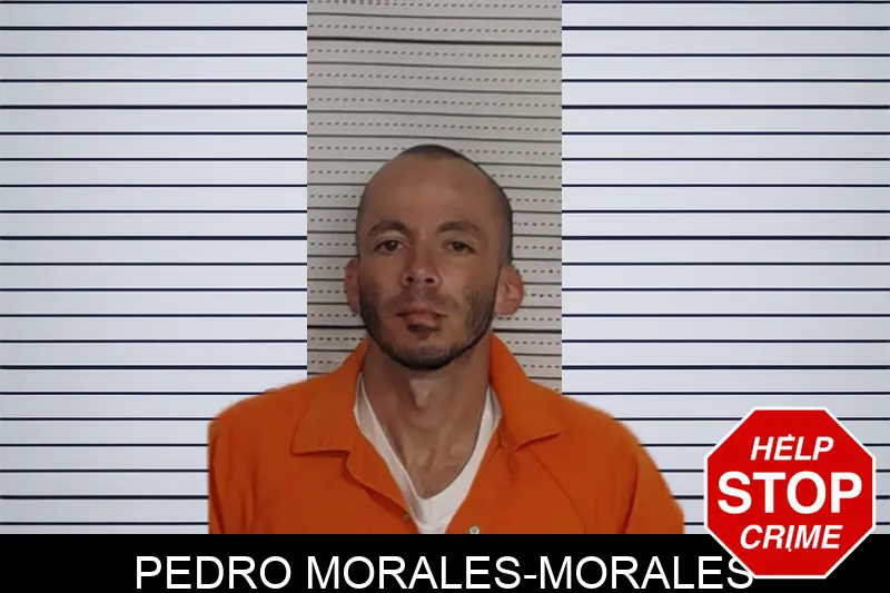 Pedro Morales-Morales Mugshots