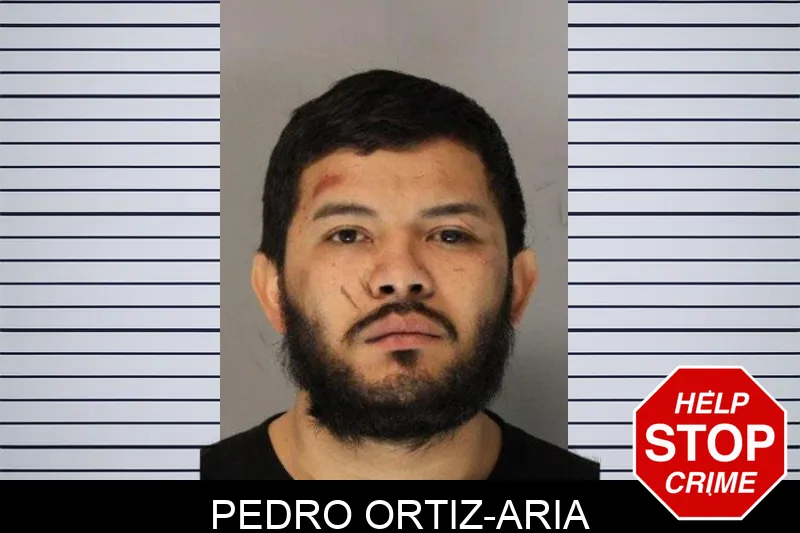 Pedro Ortiz-Aria mugshot – Hall County , Georgia Pedro Ortiz-Aria mugshot