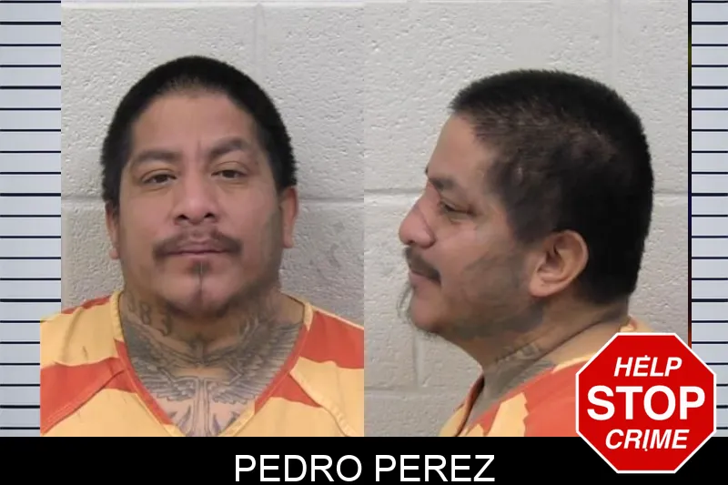 Pedro Perez Mugshots