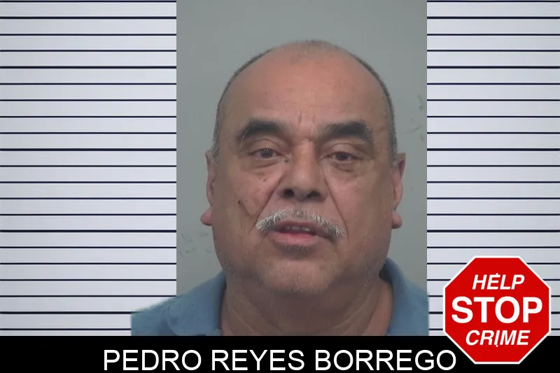 Pedro Reyes Borrego mugshot
