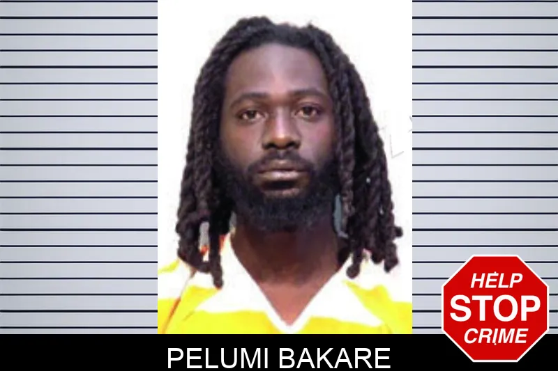 Pelumi Bakare mugshot