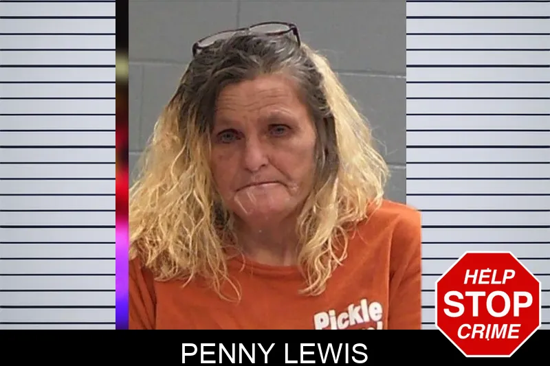 Penny Lewis Mugshots