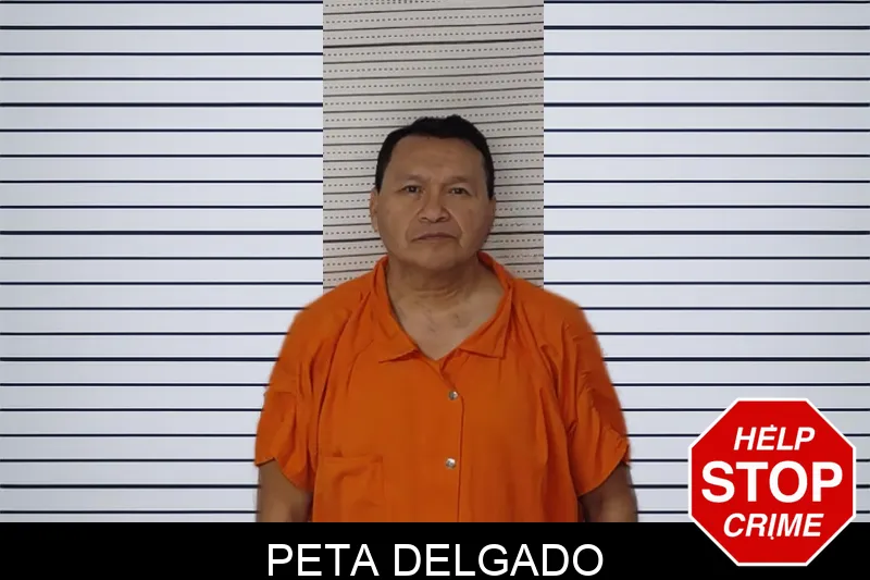 Peta Delgado Mugshots