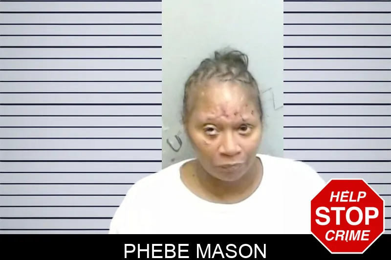 Phebe Mason Mugshots