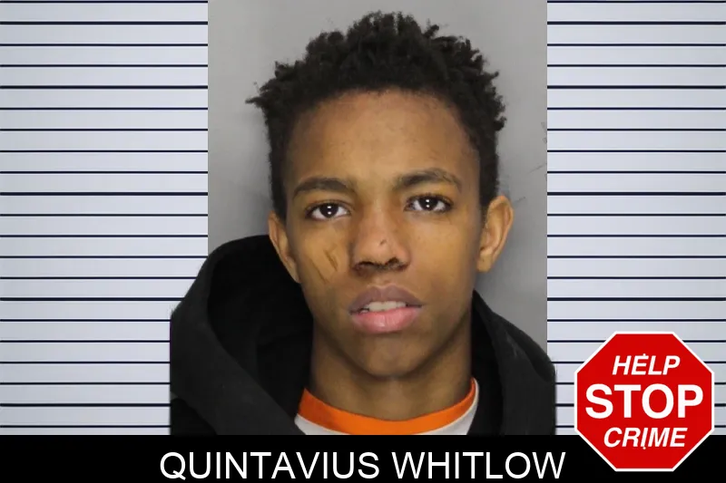 Quintavius Whitlow Mugshots