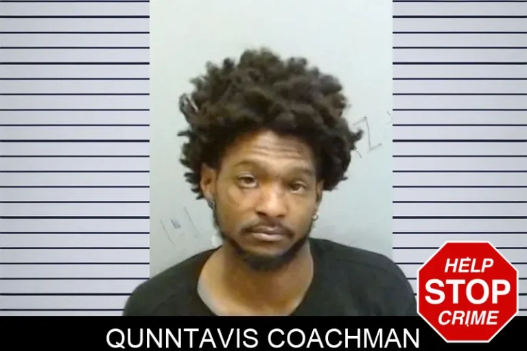 Qunntavis Coachman