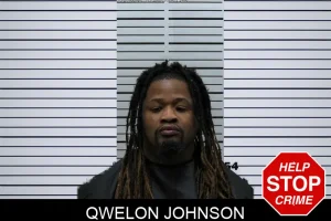 Qwelon Johnson mugshot
