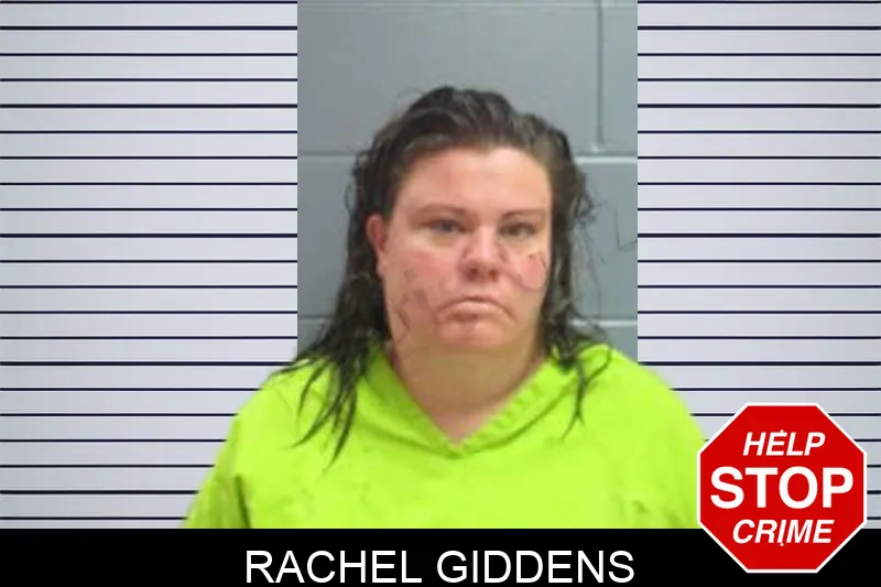 Rachel Giddens Mugshots