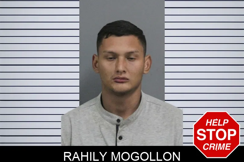 Rahily Mogollon Mugshots