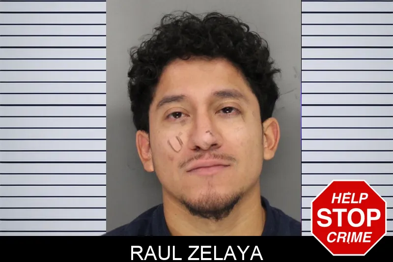 Raul Zelaya mugshot – Cobb County , Georgia Raul Zelaya mugshot