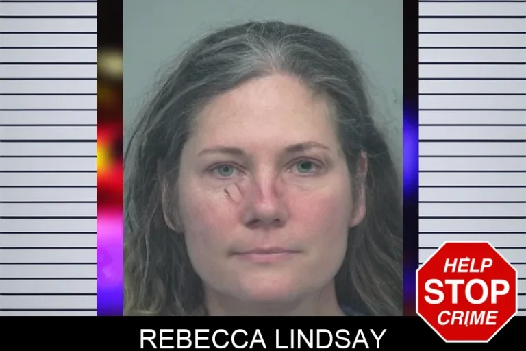 Rebecca Lindsay mugshot – Gwinnett County , Georgia Rebecca Lindsay