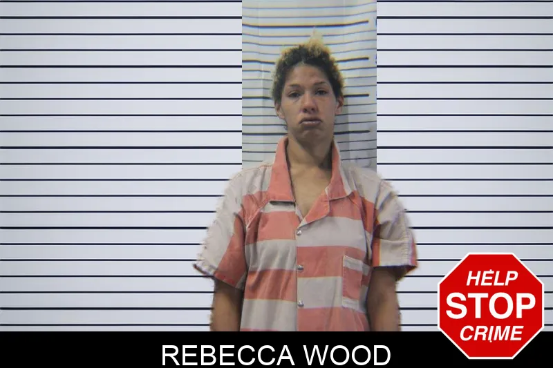 Rebecca Wood Mugshots
