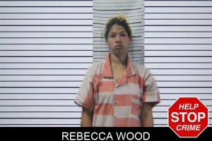 Rebecca Wood mugshot
