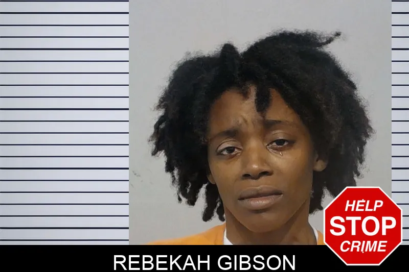Rebekah Gibson Mugshots