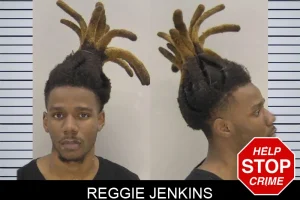 Reggie Jenkins mugshot