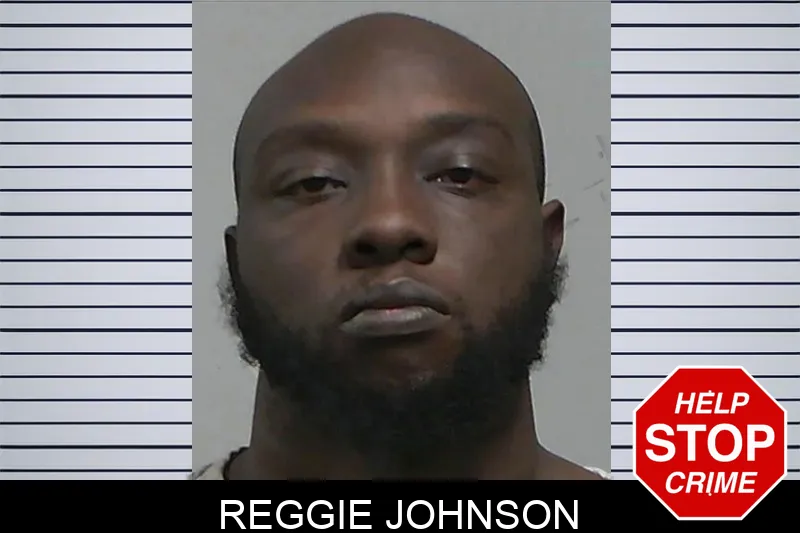 Reggie Johnson Mugshots