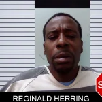 Reginald Herring Mugshots