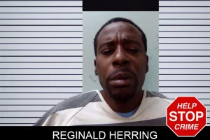 Reginald Herring mugshot