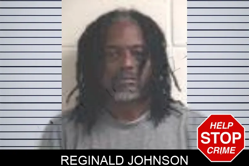 Reginald Johnson Mugshots