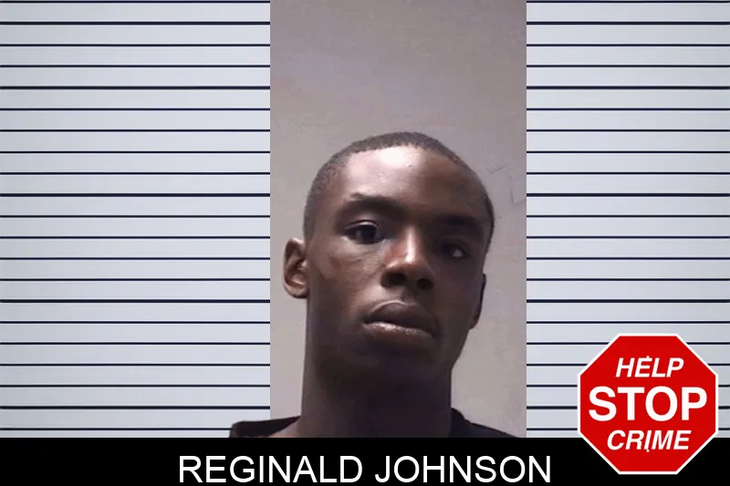 Reginald Johnson Mugshots
