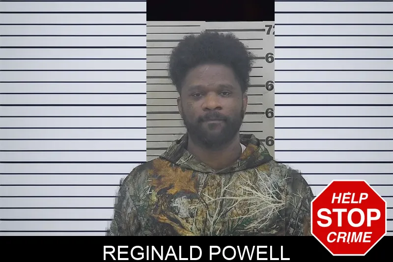Reginald Powell Mugshots