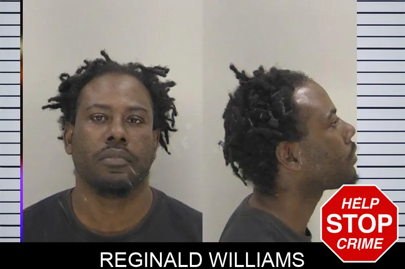Reginald Williams Mugshots