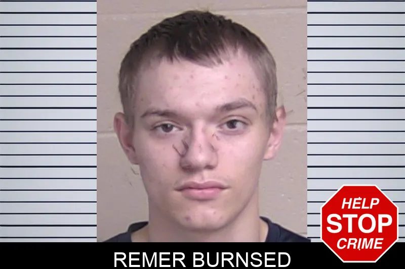 Remer Burnsed Mugshots