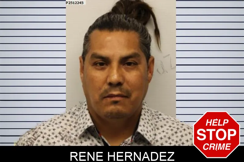 Rene Hernadez mugshot – Chatham County , Georgia Rene Hernadez mugshot