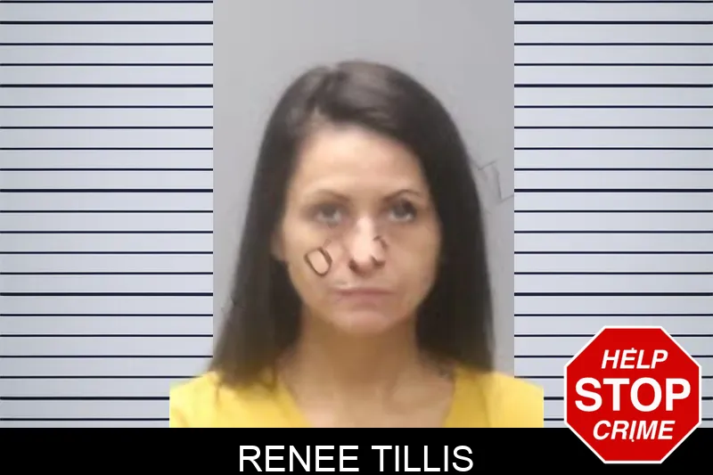 Renee Tillis Mugshots