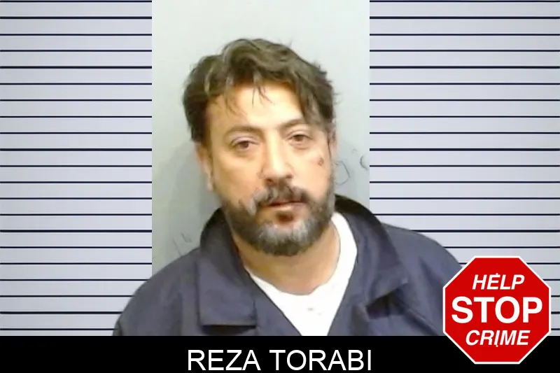Reza Torabi Mugshots