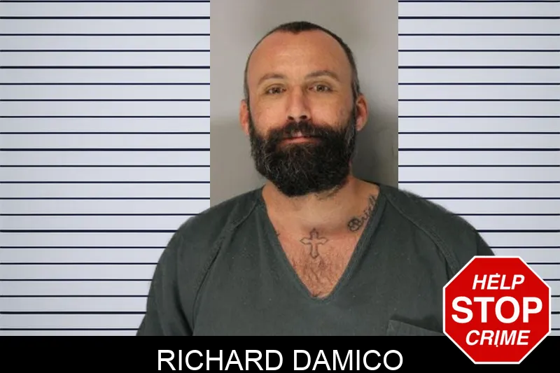 Richard Damico Mugshots