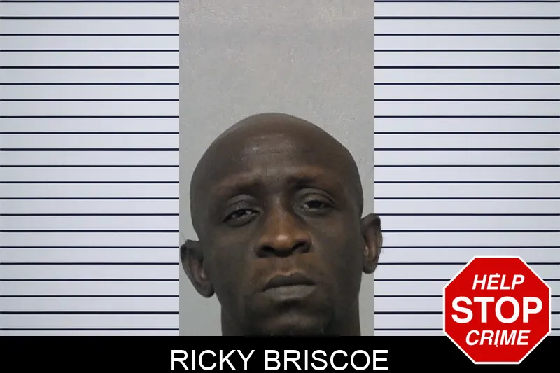 Ricky Briscoe Mugshots