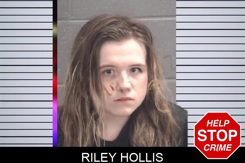 Riley Hollis Mugshots