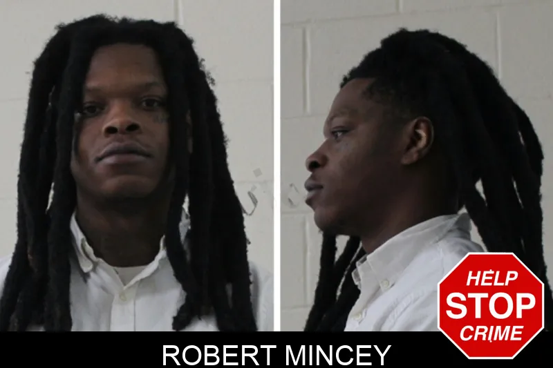 Robert Mincey Mugshots