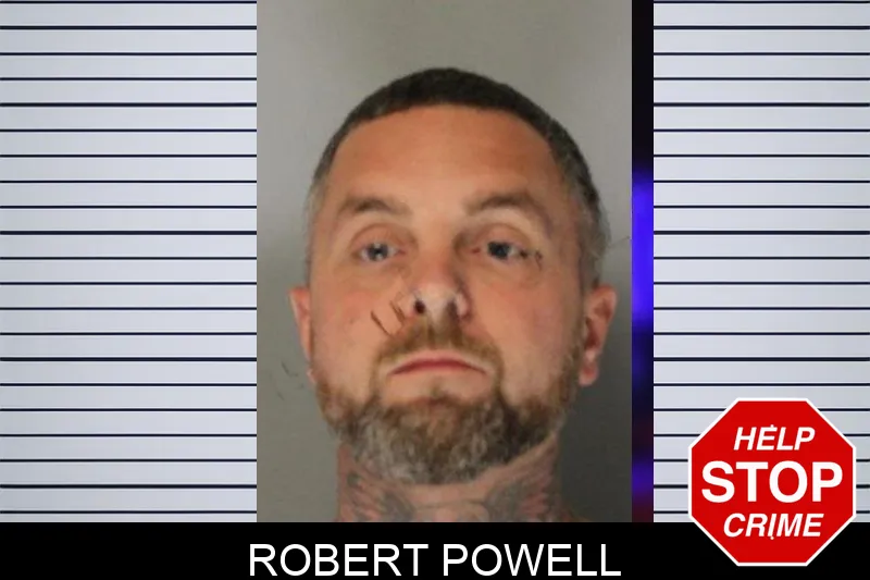 Robert Powell mugshot