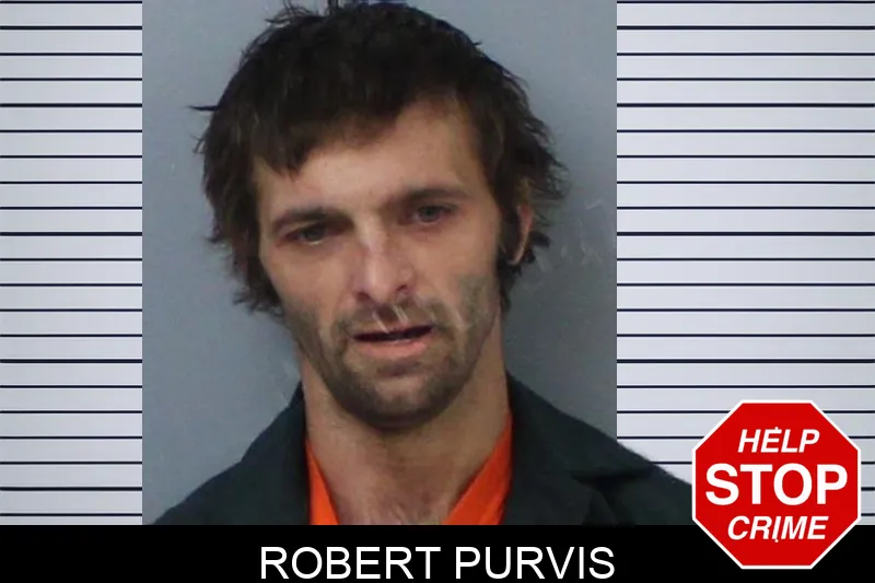 Robert Purvis Mugshots