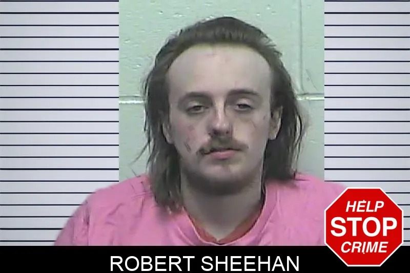 Robert Sheehan Mugshots