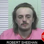 Robert Sheehan Mugshots