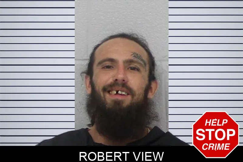Robert View Mugshots