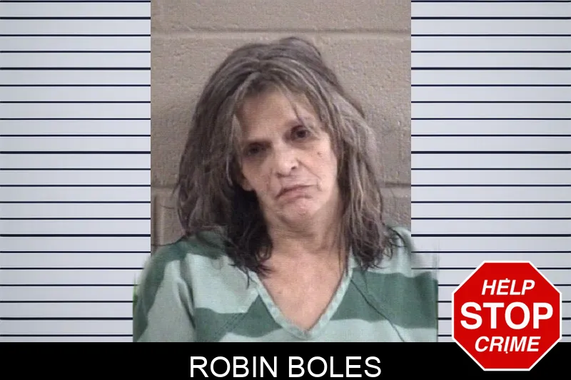 Robin Boles Mugshots