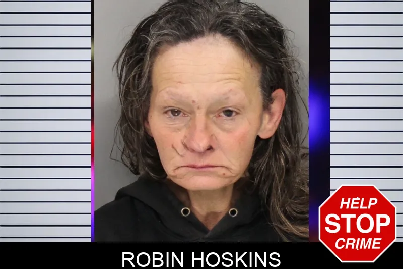 Robin Hoskins Mugshots