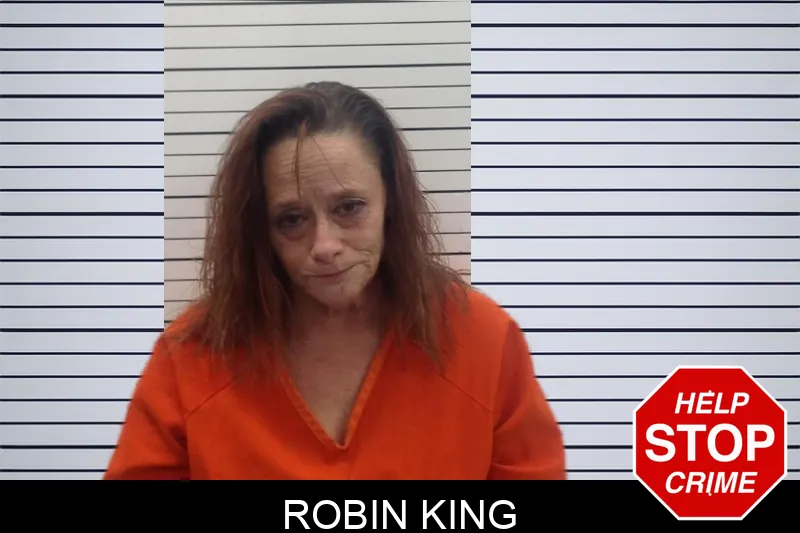 Robin King Mugshots