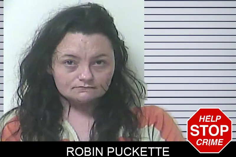 Robin Puckette mugshot