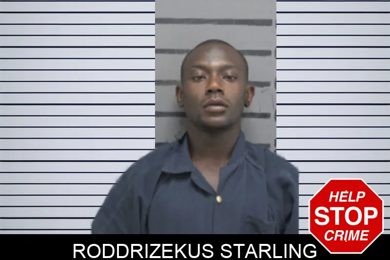 Roddrizekus Starling Mugshots
